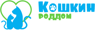 Котята и кошки в добрые руки в Москве и области Кошкин роддом